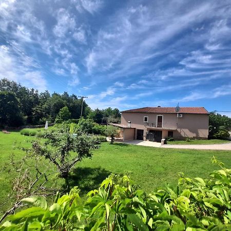Villa Krizanci Zminj Ngoại thất bức ảnh