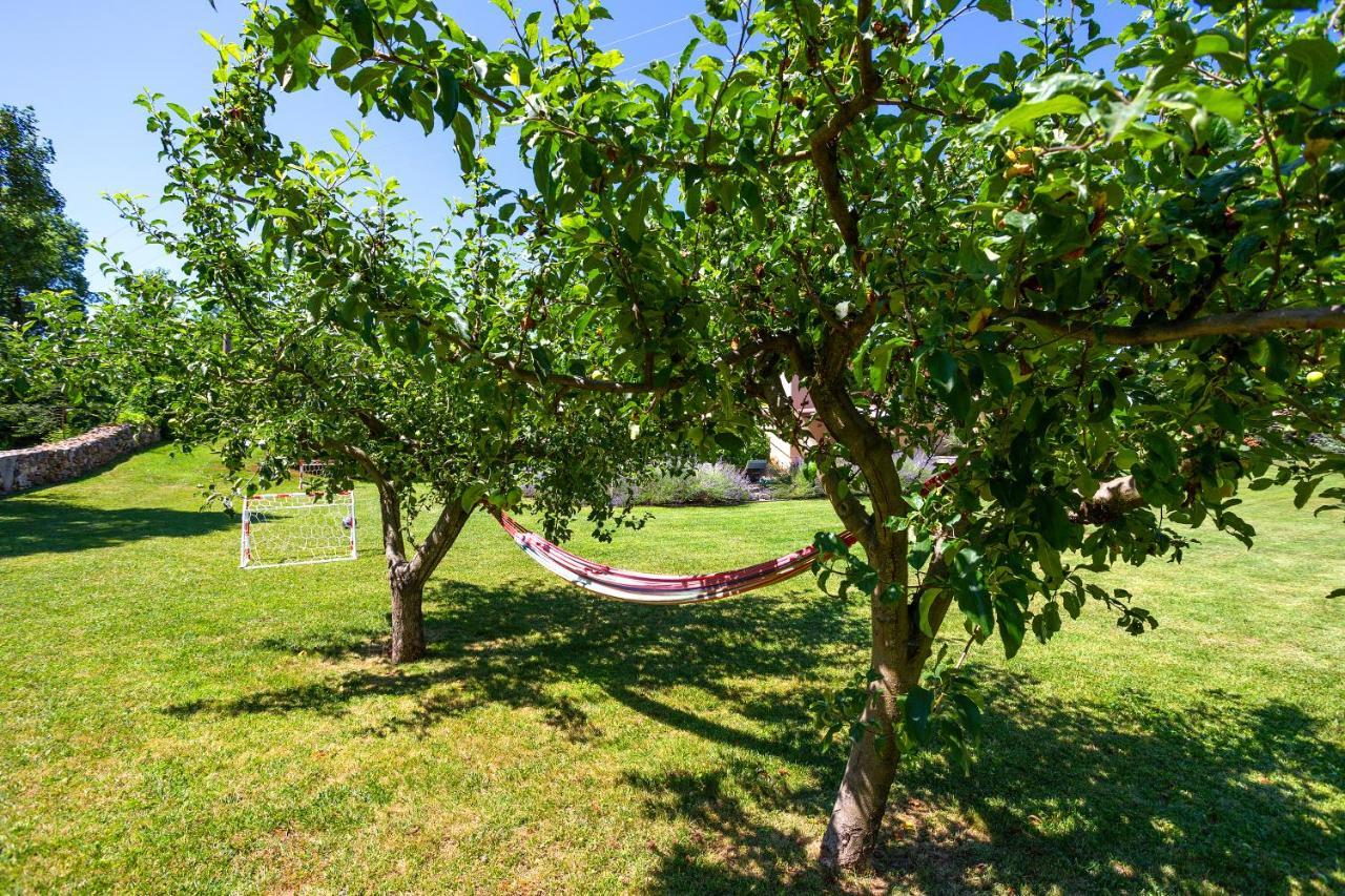 Villa Krizanci Zminj Ngoại thất bức ảnh