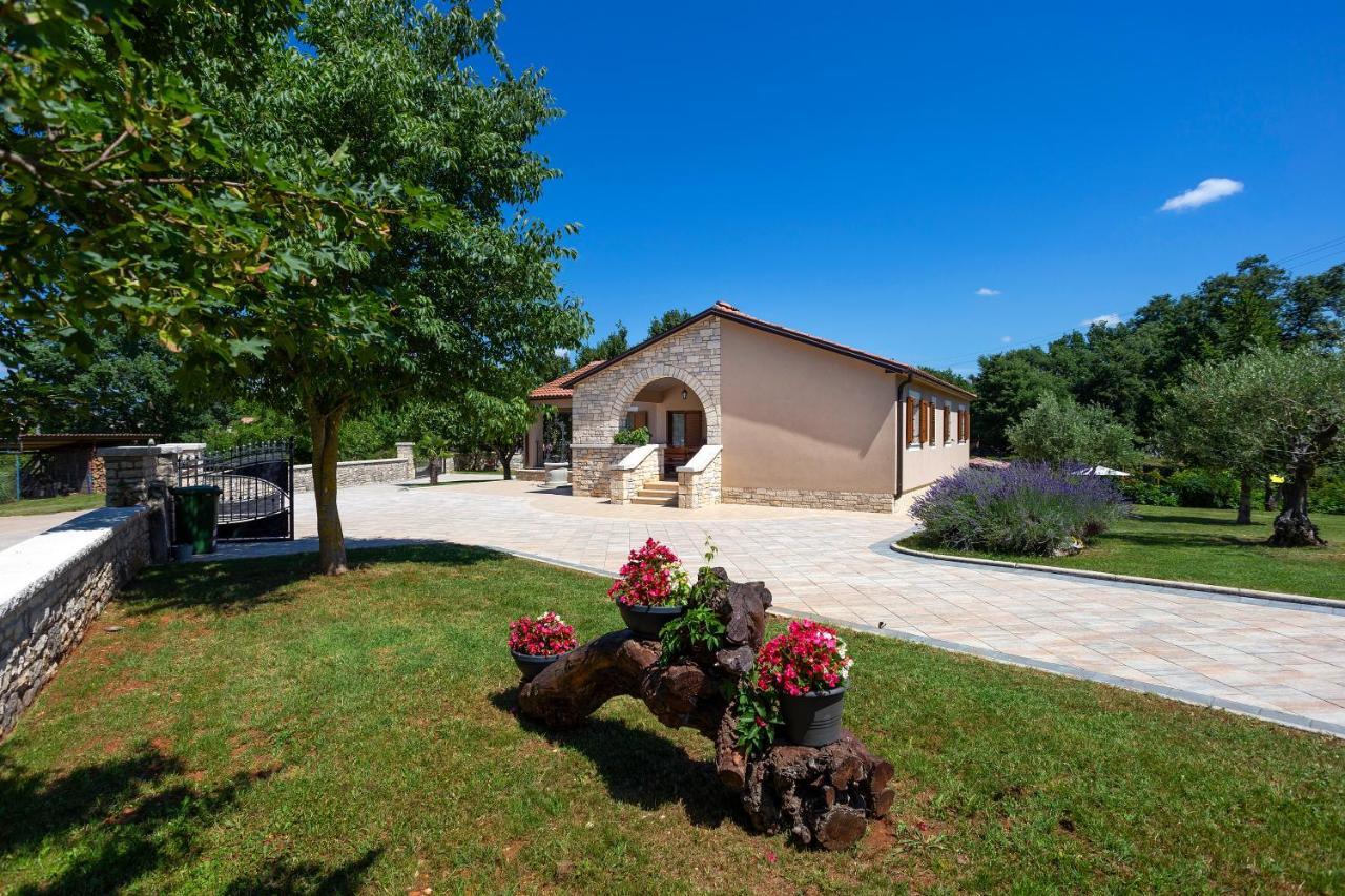 Villa Krizanci Zminj Ngoại thất bức ảnh