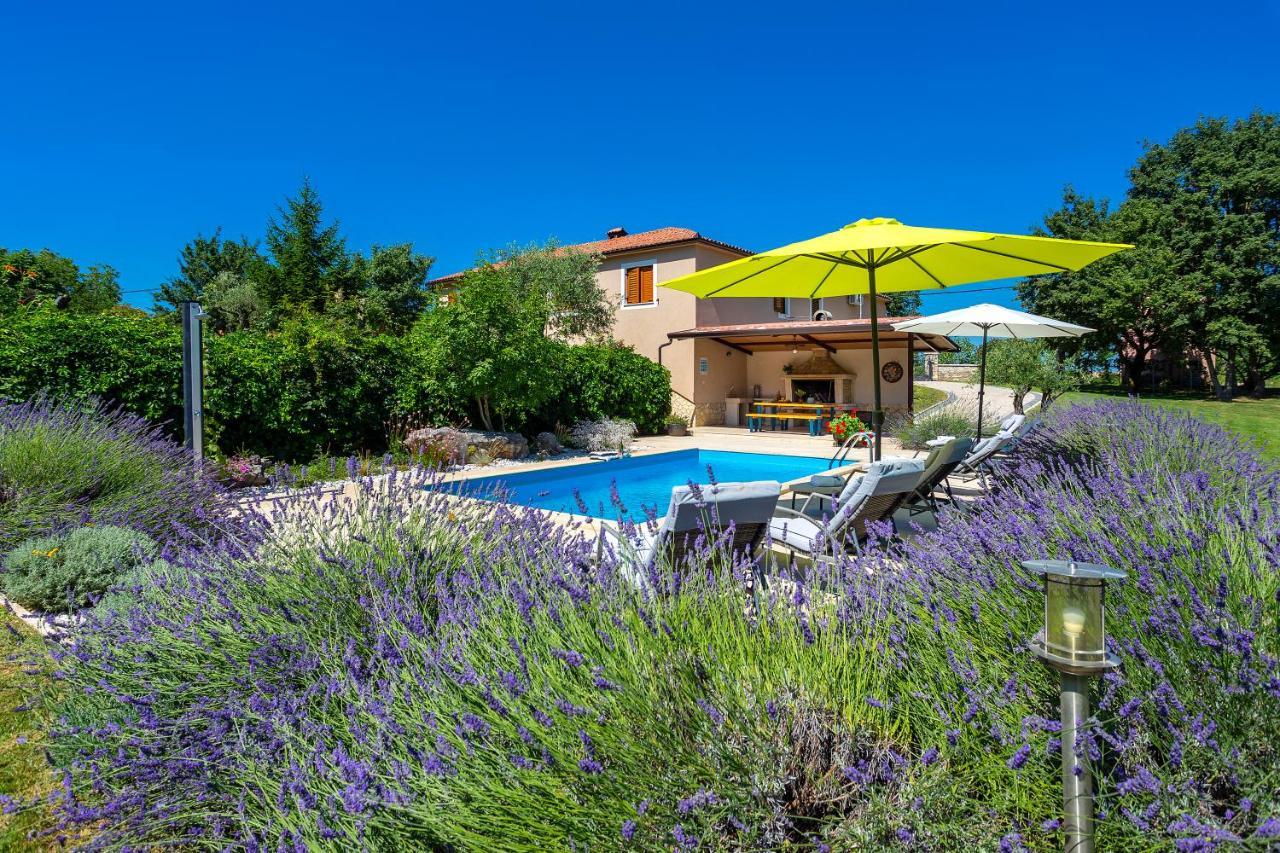 Villa Krizanci Zminj Ngoại thất bức ảnh