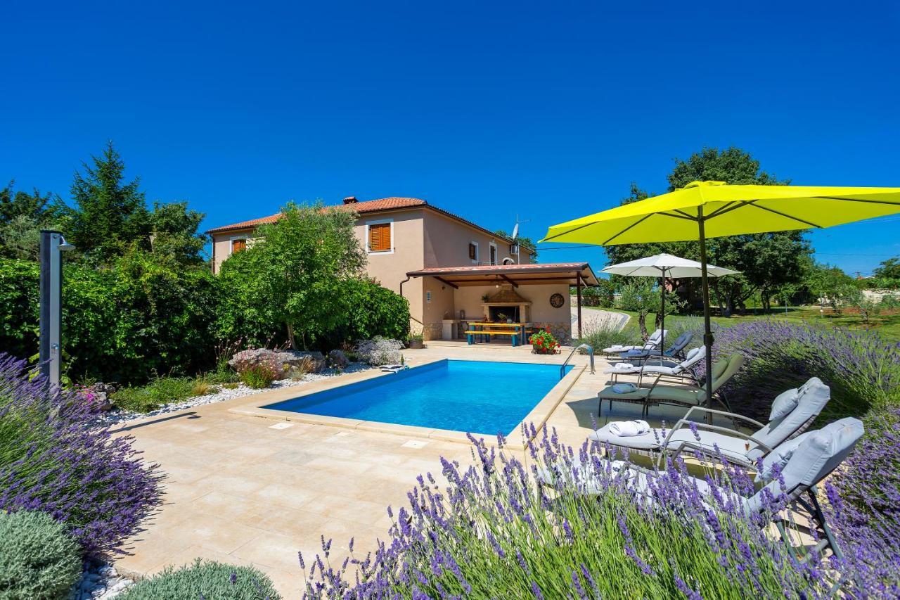 Villa Krizanci Zminj Ngoại thất bức ảnh